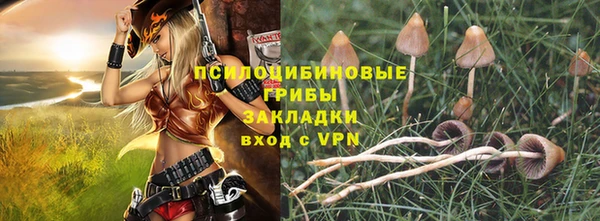 гашик Вяземский