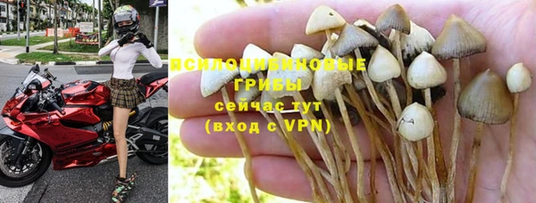 сатива Волосово