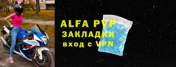 сатива Волосово